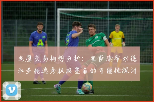 老鹰交易构想分析：里萨谢希尔德和多轮选秀权换墨菲的可能性探讨