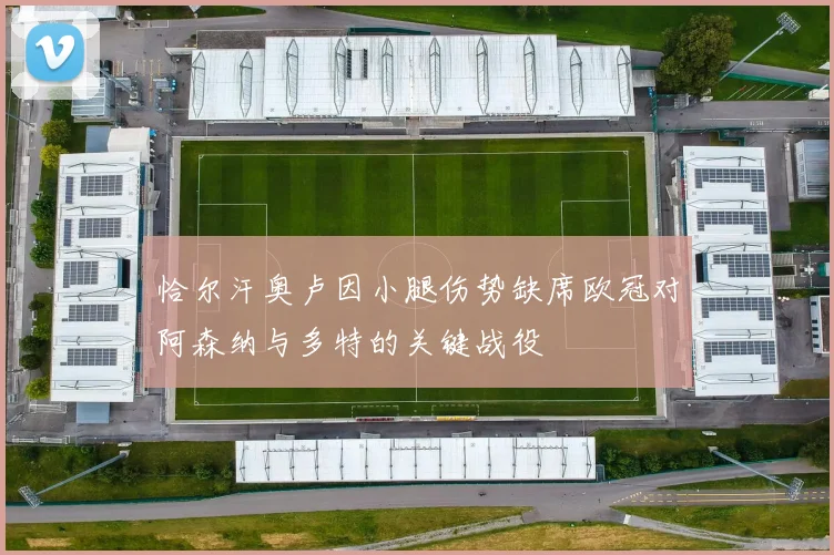 恰尔汗奥卢因小腿伤势缺席欧冠对阿森纳与多特的关键战役