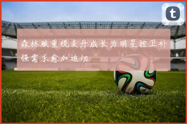 森林狼重视麦丹成长为明星控卫补强需求愈加迫切